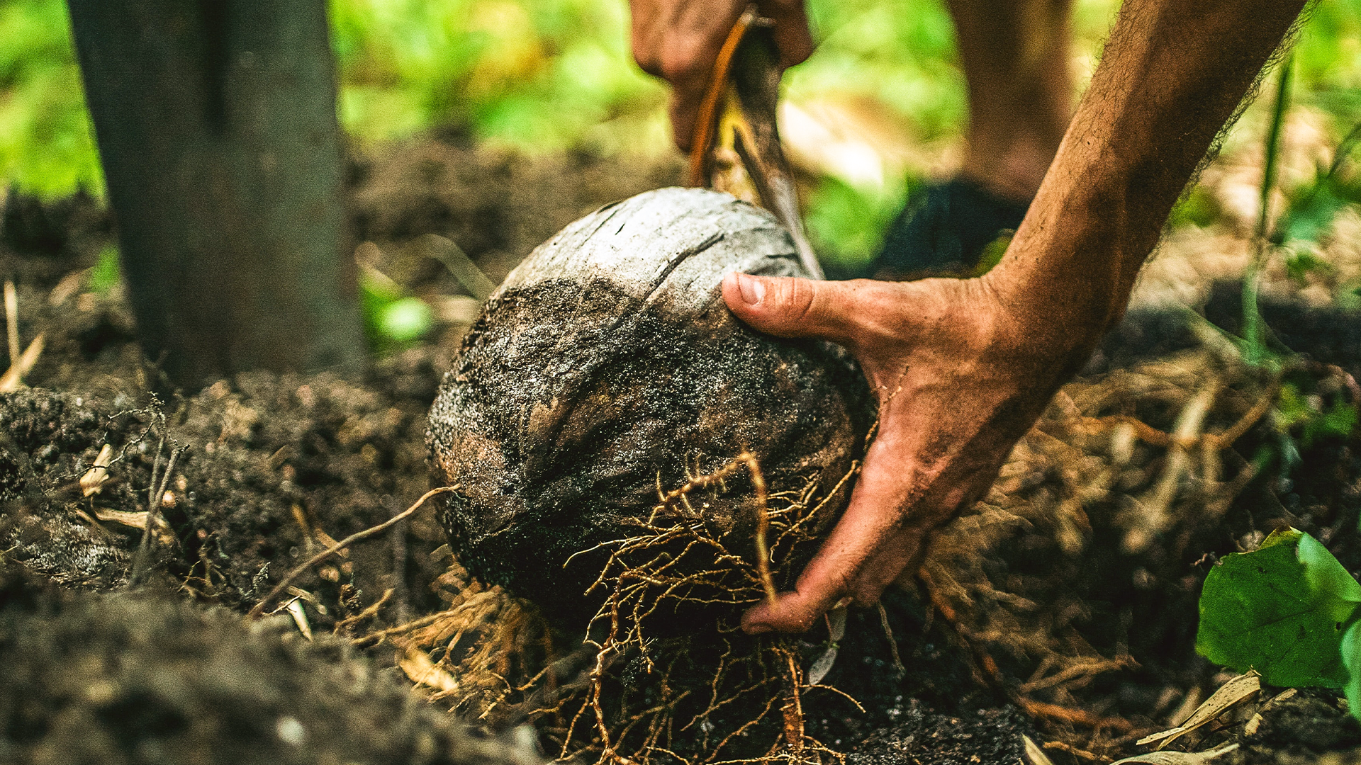 หลักคำสอนและแนวทางปฏิบัติ ในการดำเนินชีวิตที่บริสุทธิ์